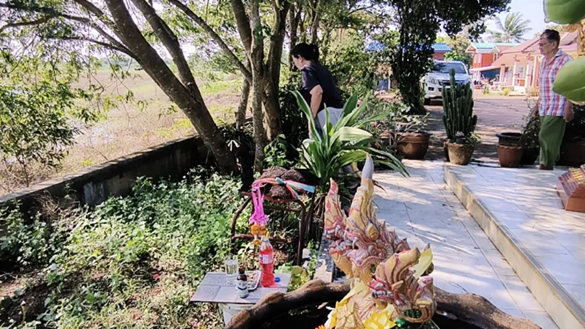 ฮือฮา! จอมปลวกประหลาดคล้ายเศียรพญานาค โผล่หน้าศาลพระภูมิ