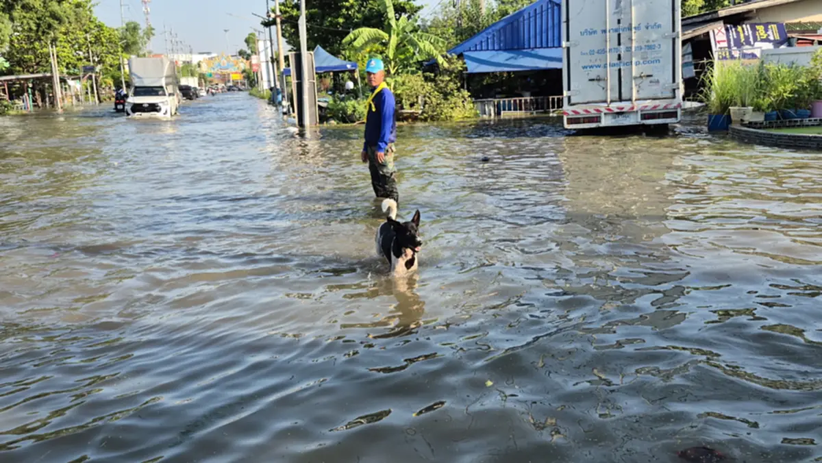 น้ำหนุน 3.9 เมตร ท่วมสุขสวัสดิ์-ป้อมพระจุล 90 ซม. ยาว 4 กม.