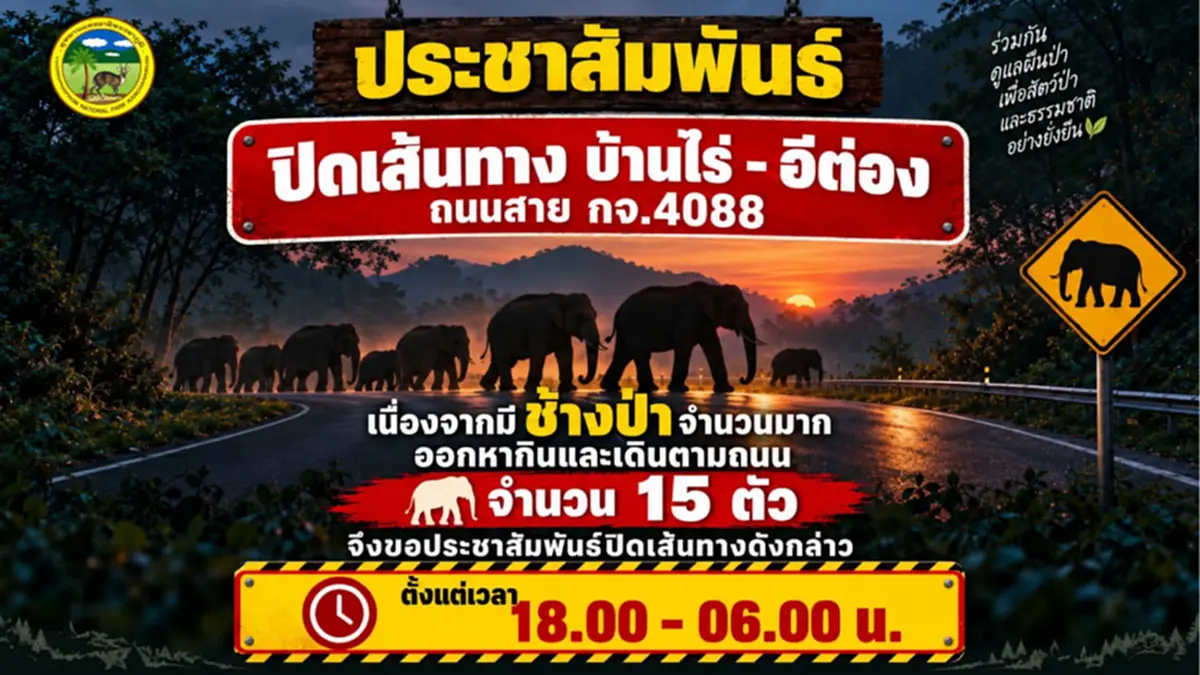 ภาพ : อุทยานแห่งชาติทองผาภูมิ - Thong Pha Phum National Park