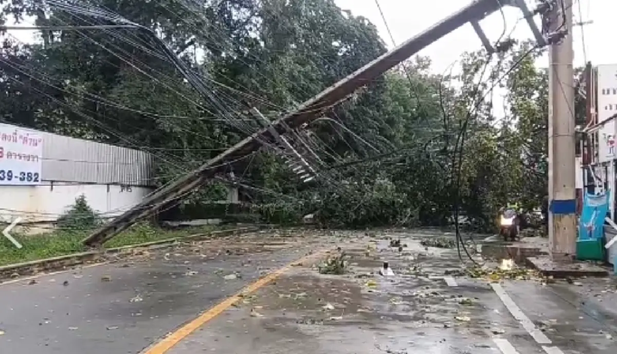 ฝนถล่มลมกระหน่ำ ต้นไม้ใหญ่พังโค่นทับรถยนต์พังยับ บาดเจ็บ 2 ราย