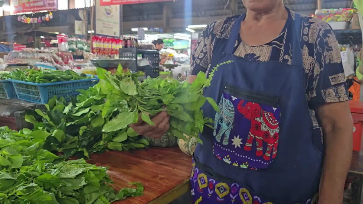 ตลาดอุทัยฯ เมินดราม่ากะเพรา! ยันกะเพราพื้นบ้านไม่ผิดกฎหมาย