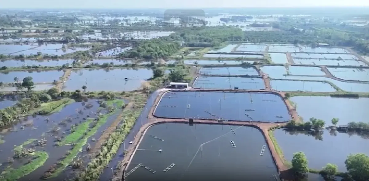 ปริศนา 12 วัน! ตาหายช่วงน้ำท่วม ก่อนโดรนจับภาพเรือคว่ำบ่อกุ้ง