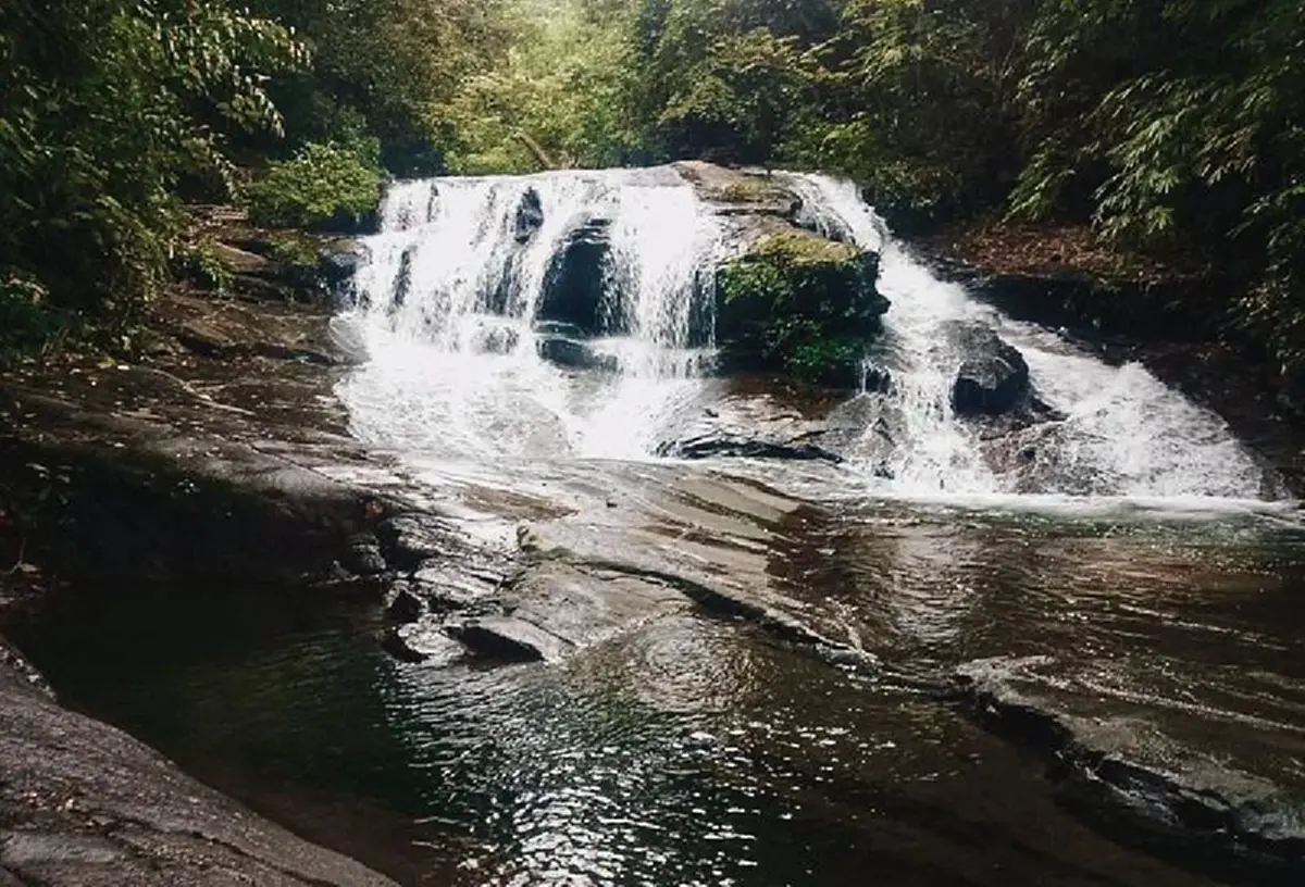 อุทยานแห่งชาติดัง ประกาศงดแต่งผีรับฮาโลวีน ให้เหตุผลน่าขนลุก
