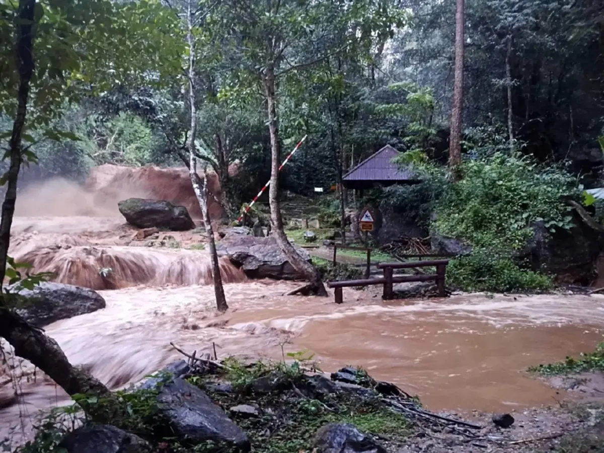 ภาพ @อุทยานแห่งชาติดอยสุเทพ-ปุย Doi Suthep-Pui National Park