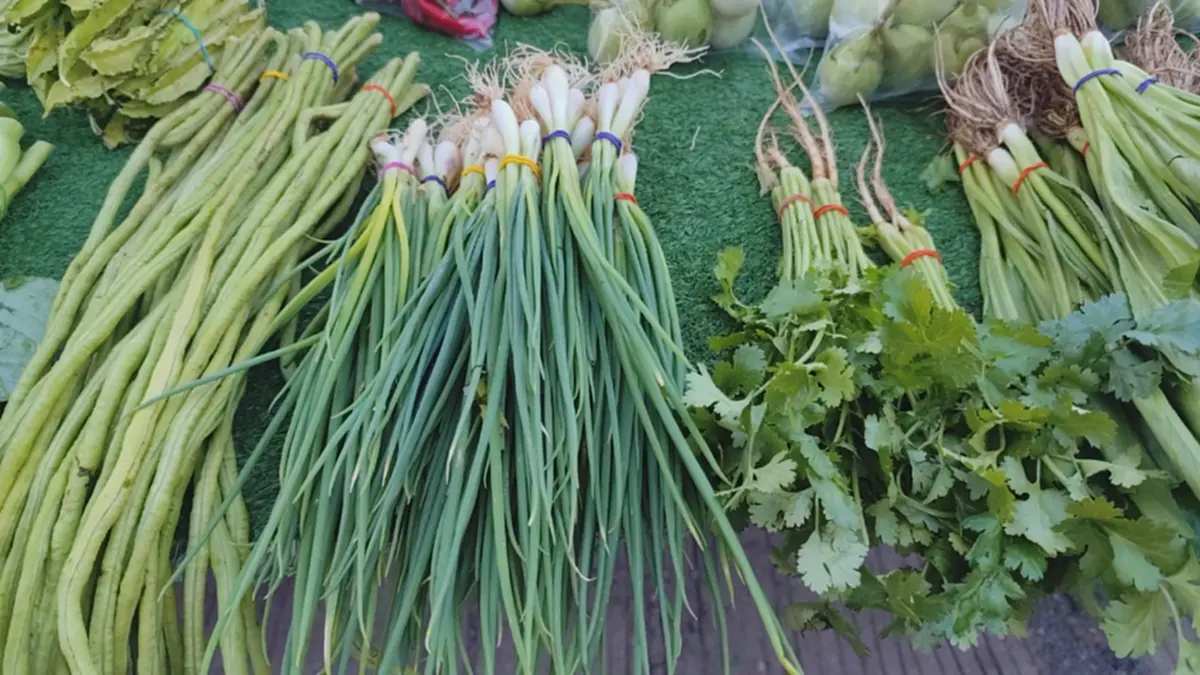 น้ำมันพุ่งทำพิษ! ตลาดสดโคราชของแพงยกแผง ไข่ราคาพุ่ง 165