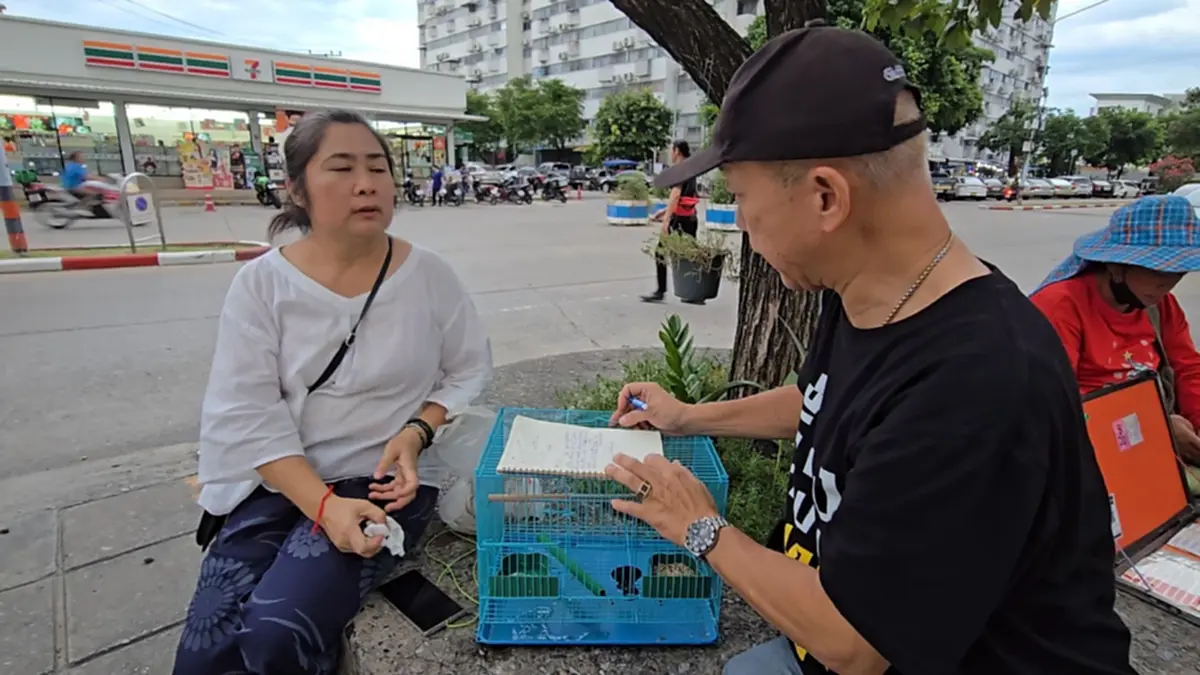 สาวร่ำไห้หนัก ลูกนกเขาแสนรักบินหาย ทุ่มเงินรางวัล 5,000 บาท
