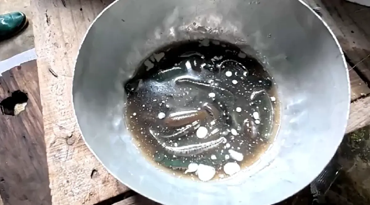 สางแค้น!! ป้าวัย 66 ปี โดนปลิงกัด จับดองไว้นับสิบตัว
