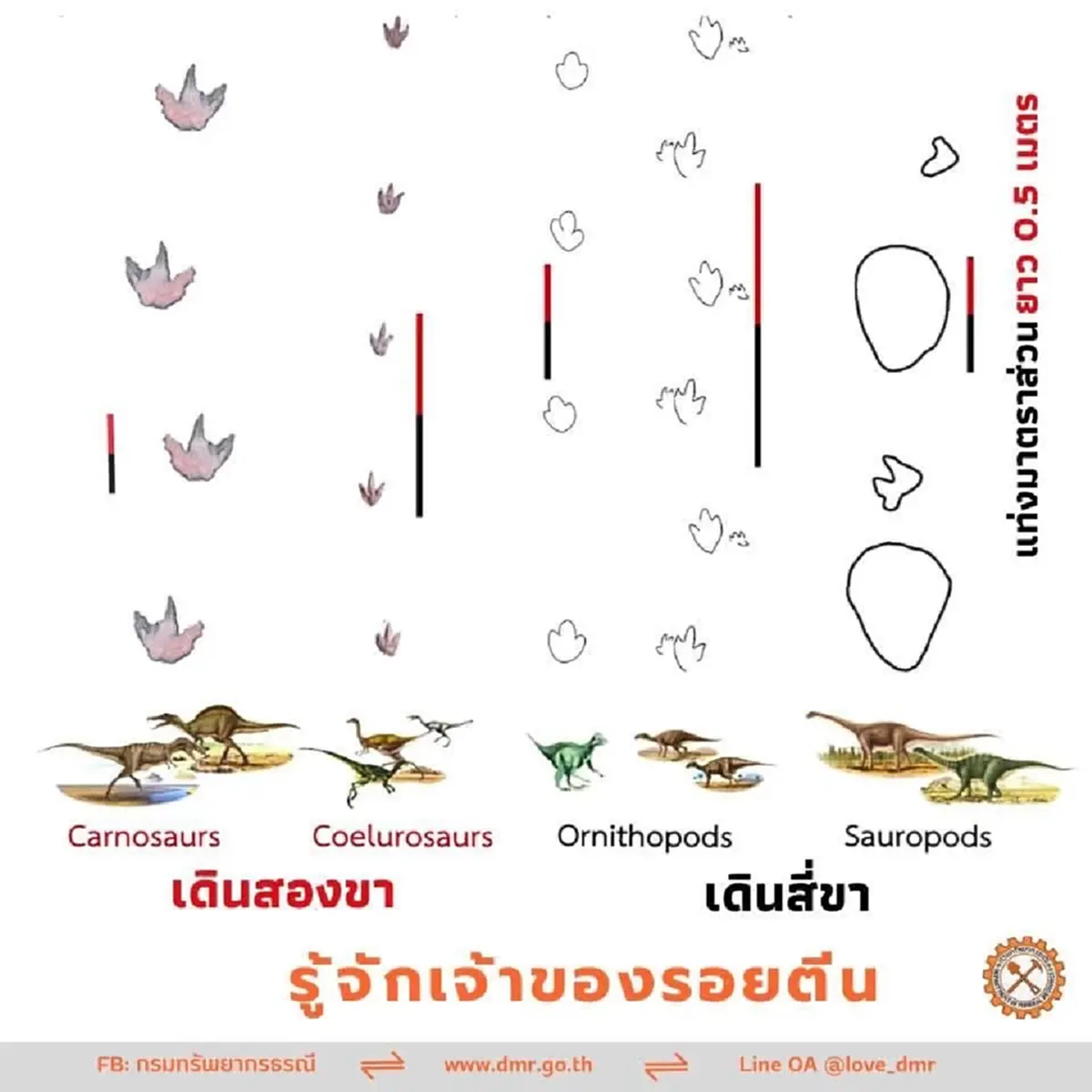 เรื่องถึง กรมทรัพยากรธรณี แล้ว หนุ่มพบรอยเท้าปริศนา กลางป่าอุดรฯ