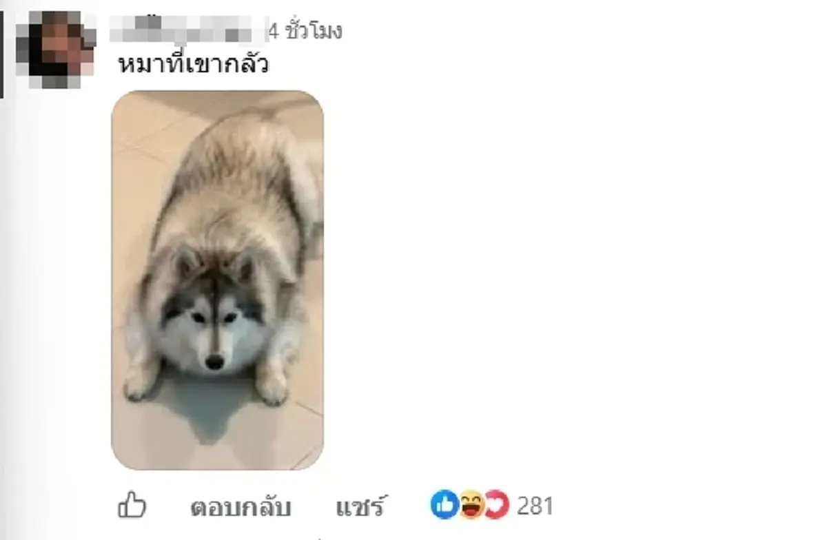 สาวสุดเซ็ง จ้างแม่บ้านทำความสะอาด เจอคำพูดเรื่องหมา ทำเอาหน้าชา