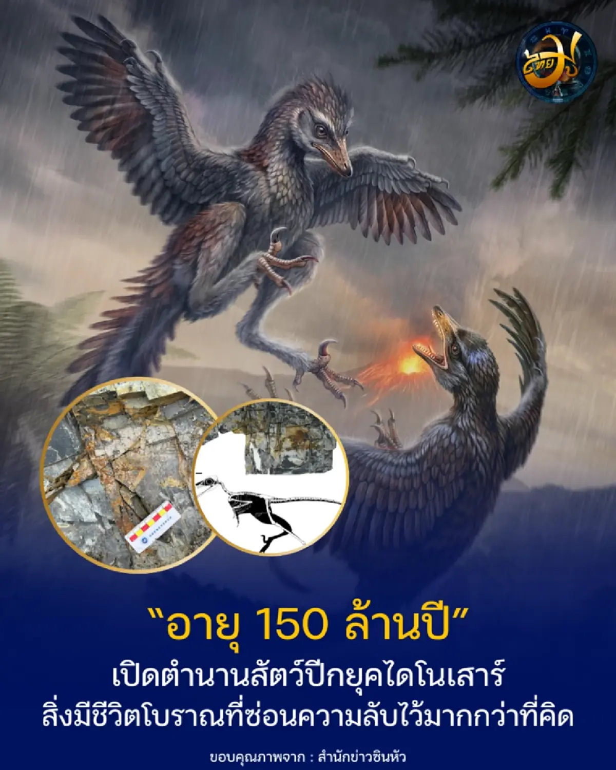 รู้จัก สัตว์ปีกยุคไดโนเสาร์ อายุ 150 ล้านปี ขนาดเท่าอีกา แต่ถ้าคิดว่าบินได้เหมือนนก คุณอาจเข้าใจผิด