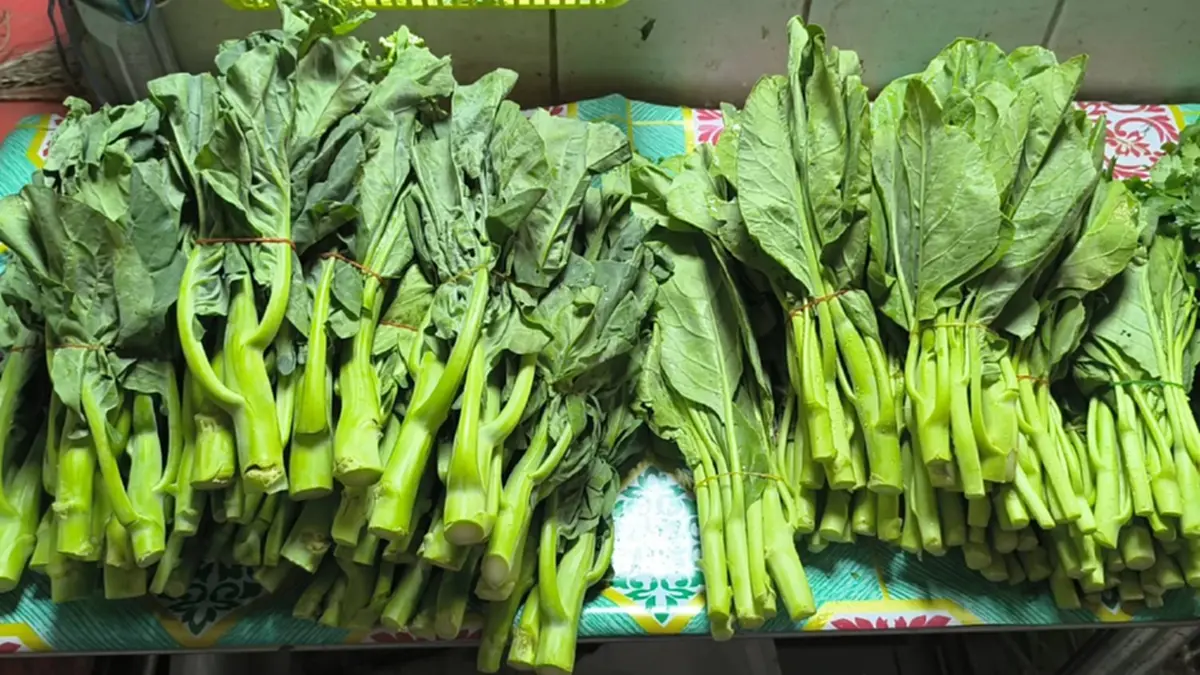 พิษณุโลกอ่วม! ผักแพงยกแผงขึ้น 10-15 บาท วอนรัฐเร่งคุมราคา