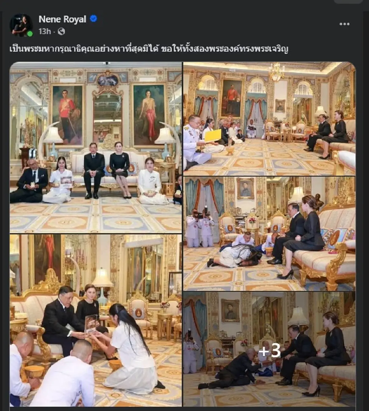 ประมวลภาพ "ในหลวง พระราชินี" โปรดฯ ให้ "เนเน่ รอยัล" เข้าเฝ้าฯ