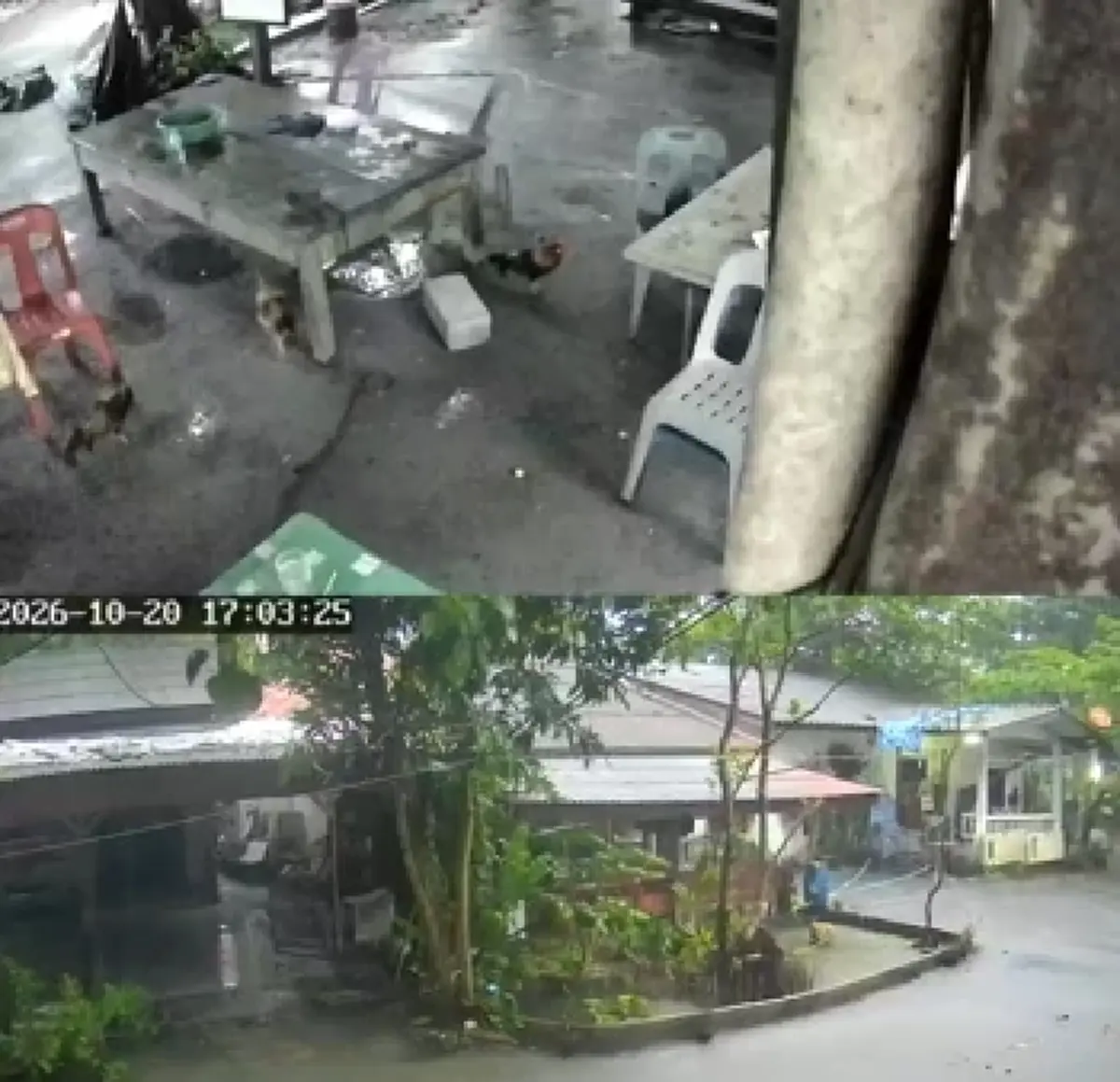 อายุสัปเหร่อวัดกัลยานฤมิต ยืนใกล้เมรุ ตอนโดนฟ้าผ่าเสียงสนั่น