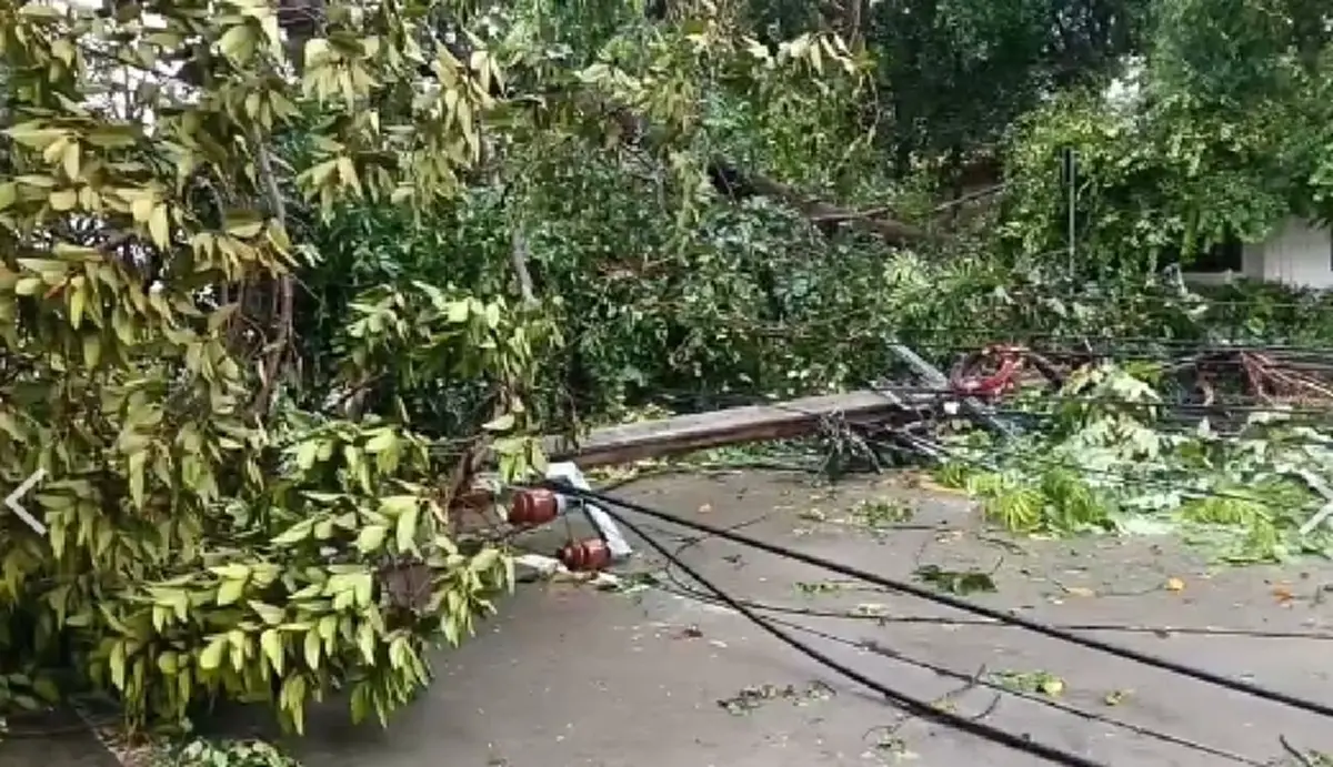 ฝนถล่มลมกระหน่ำ ต้นไม้ใหญ่พังโค่นทับรถยนต์พังยับ บาดเจ็บ 2 ราย