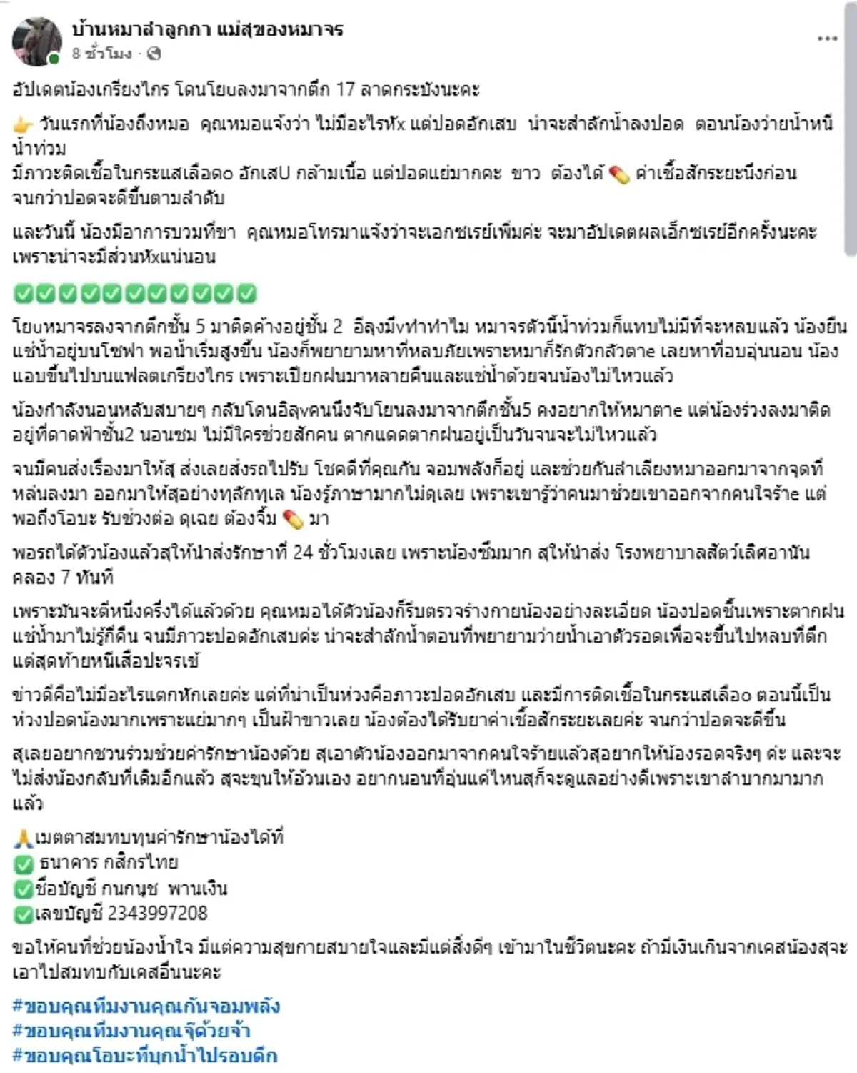 น่าห่วง อาการล่าสุด "น้องเกรียงไกร"หมาจรหนีน้ำท่วมลาดกระบัง