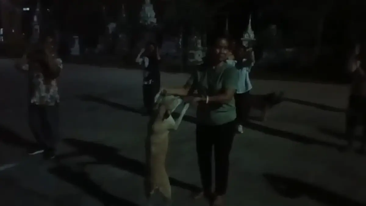 น่ารักจนต้องมอง! สุนัขแสนรู้โชว์สเตปเต้นแอโรบิกทุกเย็น