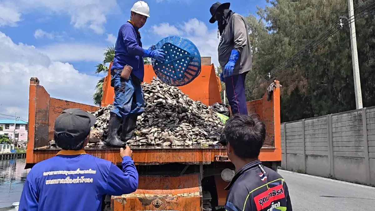 ปทุมฯ วิกฤตน้ำเน่า! ปลาตายเกลื่อนคลอง จี้ชลประทานปล่อยน้ำดี