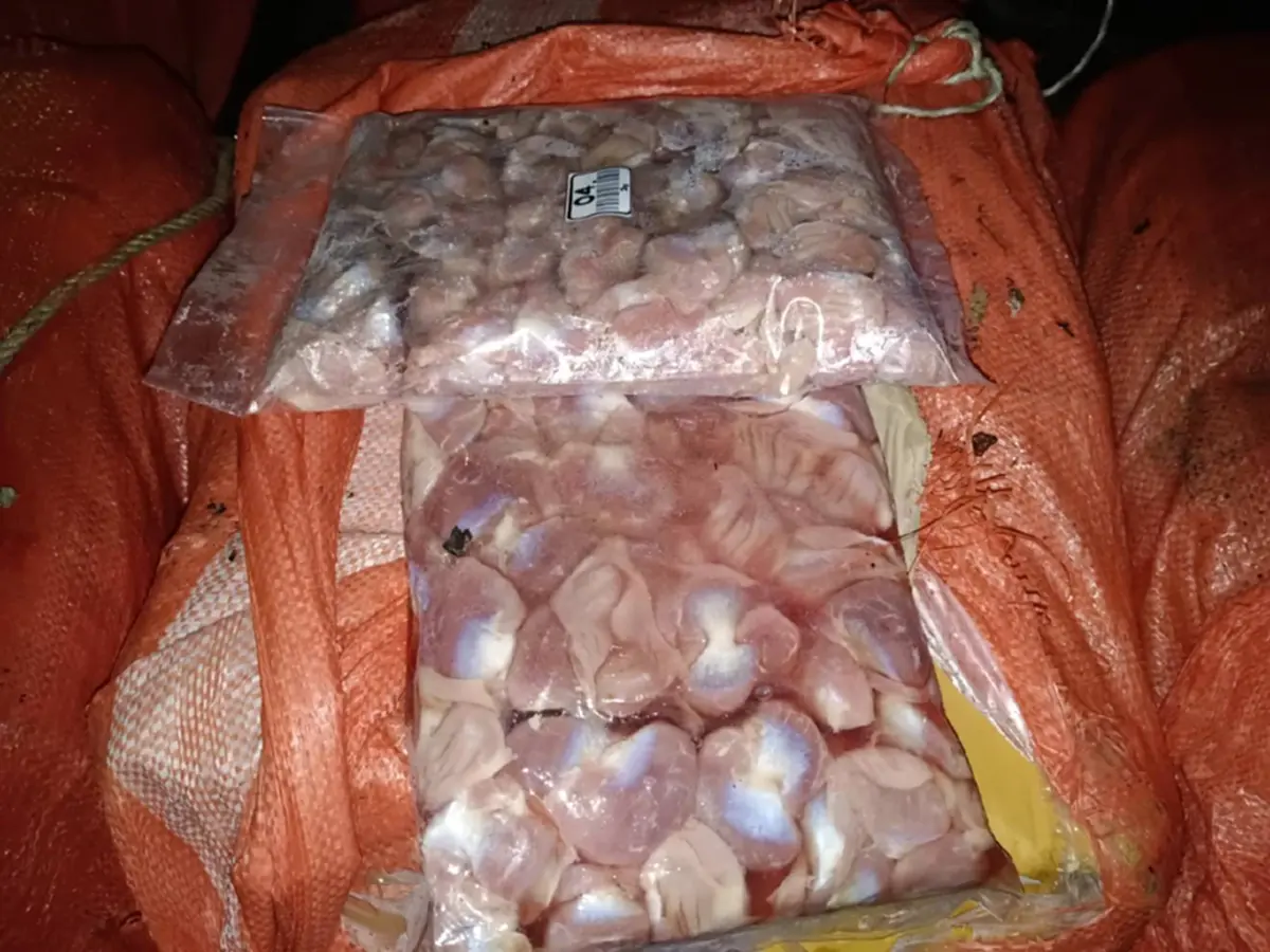 ลอบขนอะไรตอนตี 3? ทหารพรานเจอพิรุธ ยึดกึ๋นไก่ 9 กระสอบชายแดน