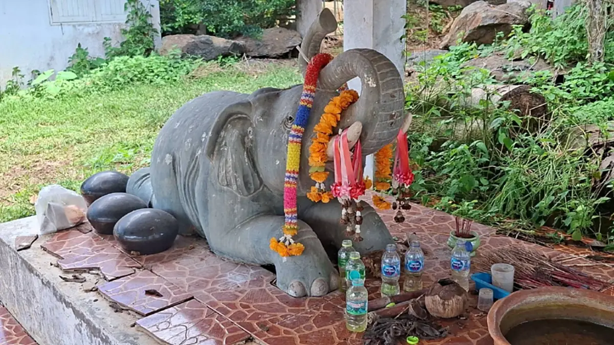 ส่องเลขธูป ชาวลับแล ไหว้แก้บน ศาลช้างมูบ หลังดวงเฮง 2 งวดติด