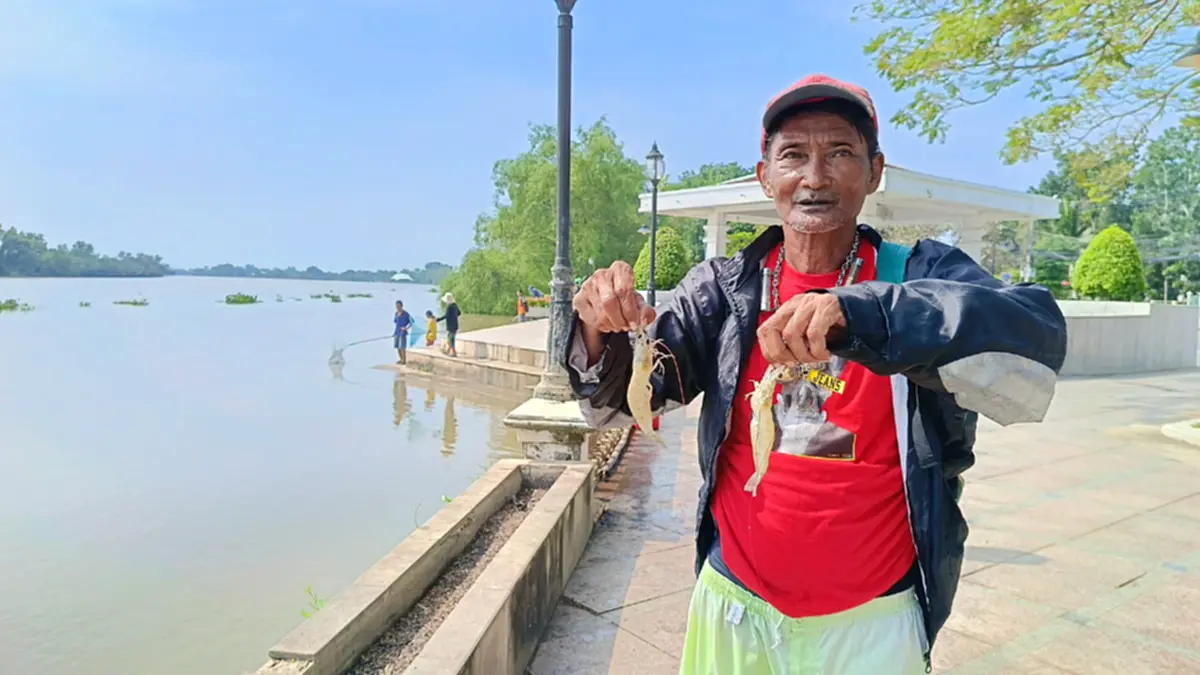 กองทัพกุ้งบุกบางปะกง! ชาวแปดริ้วแห่ส่องไฟช้อนคืนละ 10 กิโล