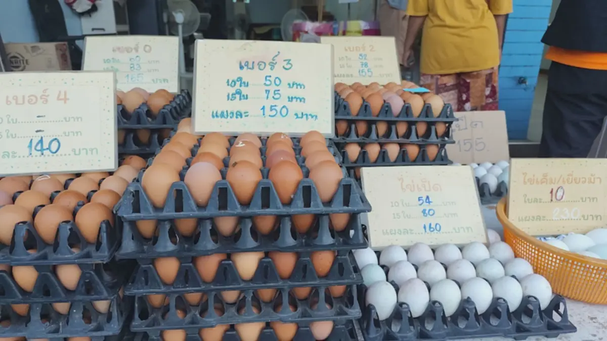 น้ำมันพุ่งทำพิษ! ตลาดสดโคราชของแพงยกแผง ไข่ราคาพุ่ง 165
