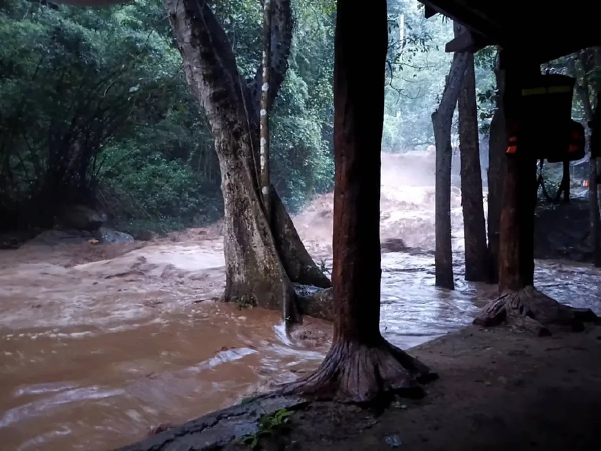 ภาพ @อุทยานแห่งชาติดอยสุเทพ-ปุย Doi Suthep-Pui National Park