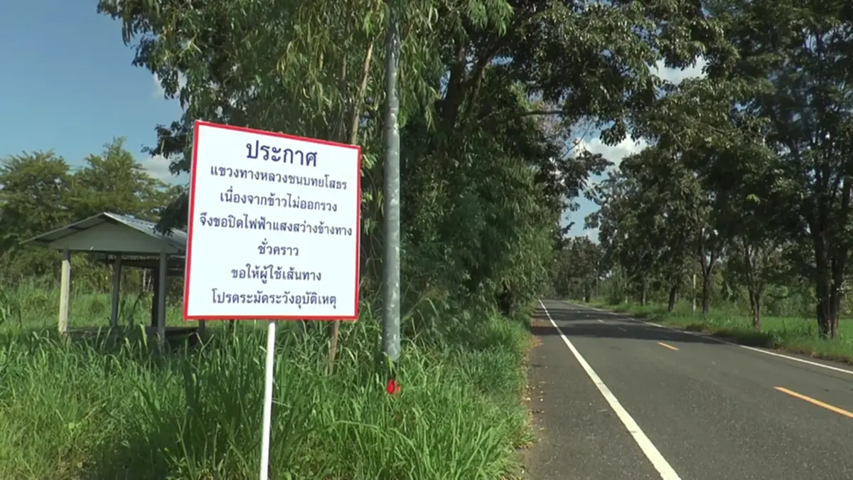 ทางหลวงชนบทยโสธร ปิดไฟถนนชั่วคราว ช่วยชาวนาป้องข้าวไม่ออกรวง
