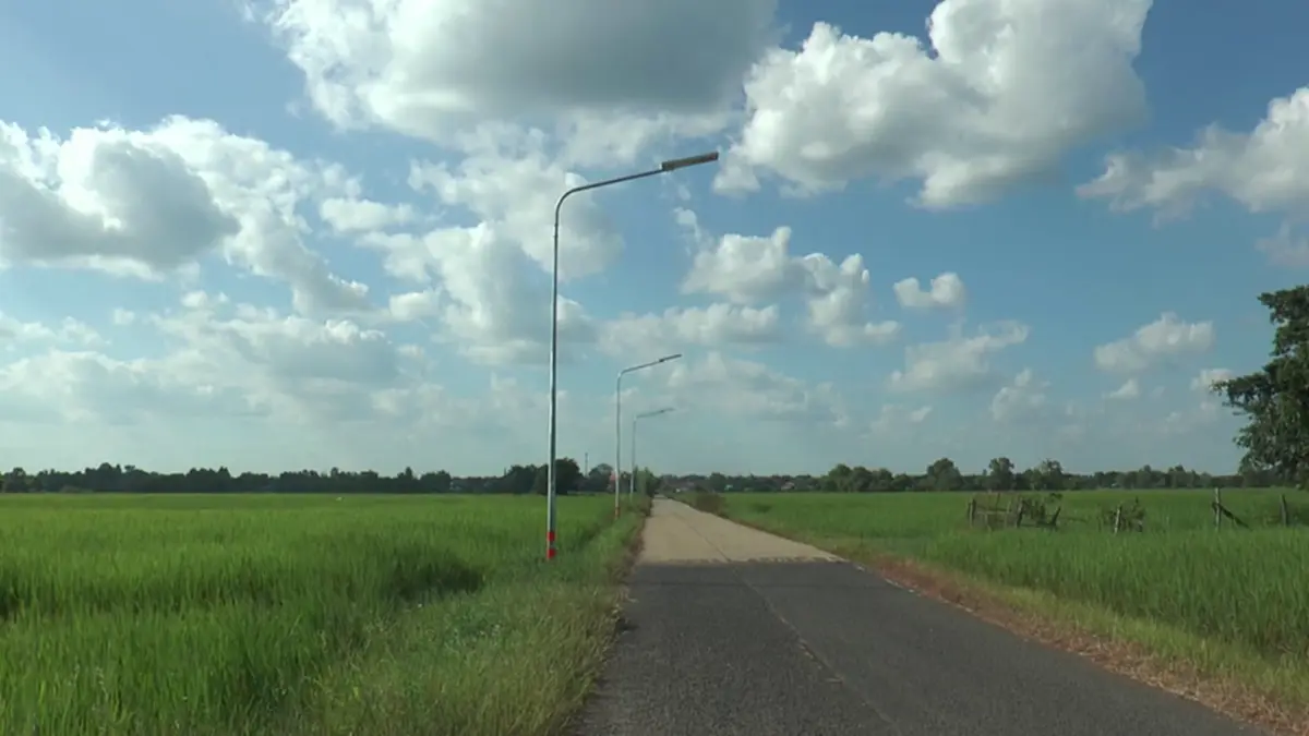 ทางหลวงชนบทยโสธร ปิดไฟถนนชั่วคราว ช่วยชาวนาป้องข้าวไม่ออกรวง