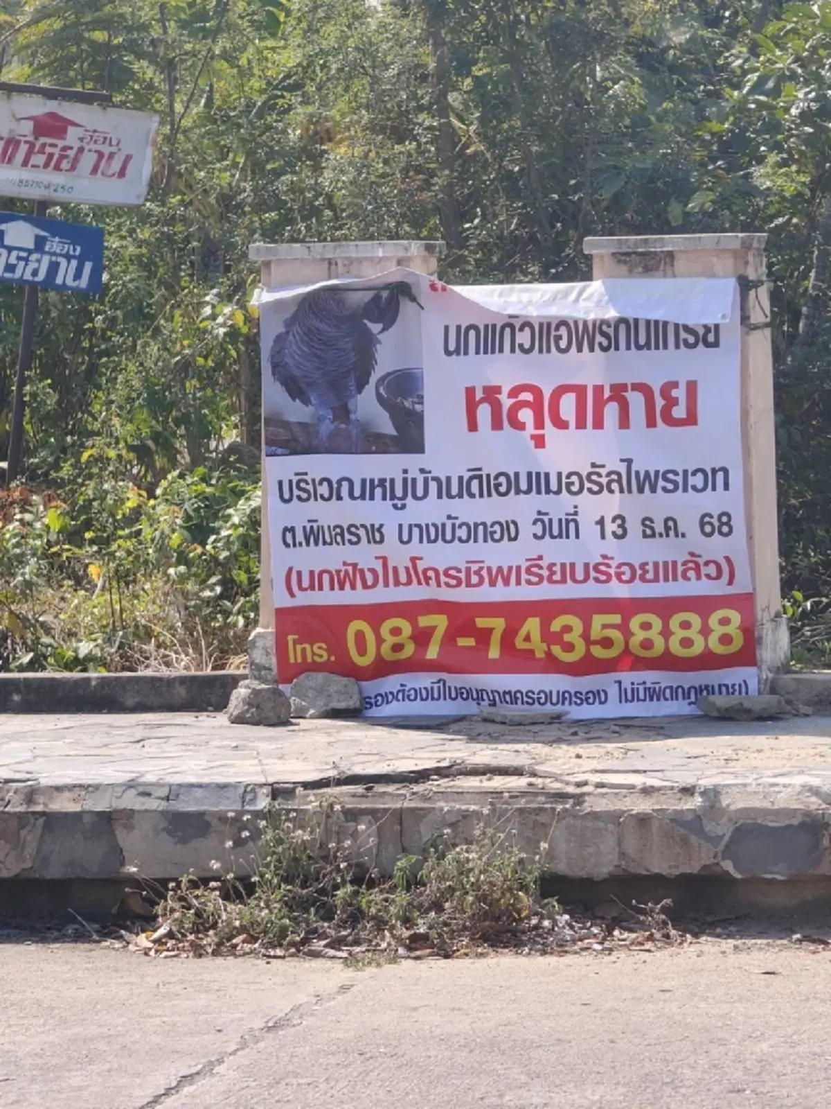 อ.แดงย์ร่ำไห้ ให้ 1 แสน แต่ยังไม่เจอนกแก้ว เบาะแสล่าสุดใจแทบสลาย