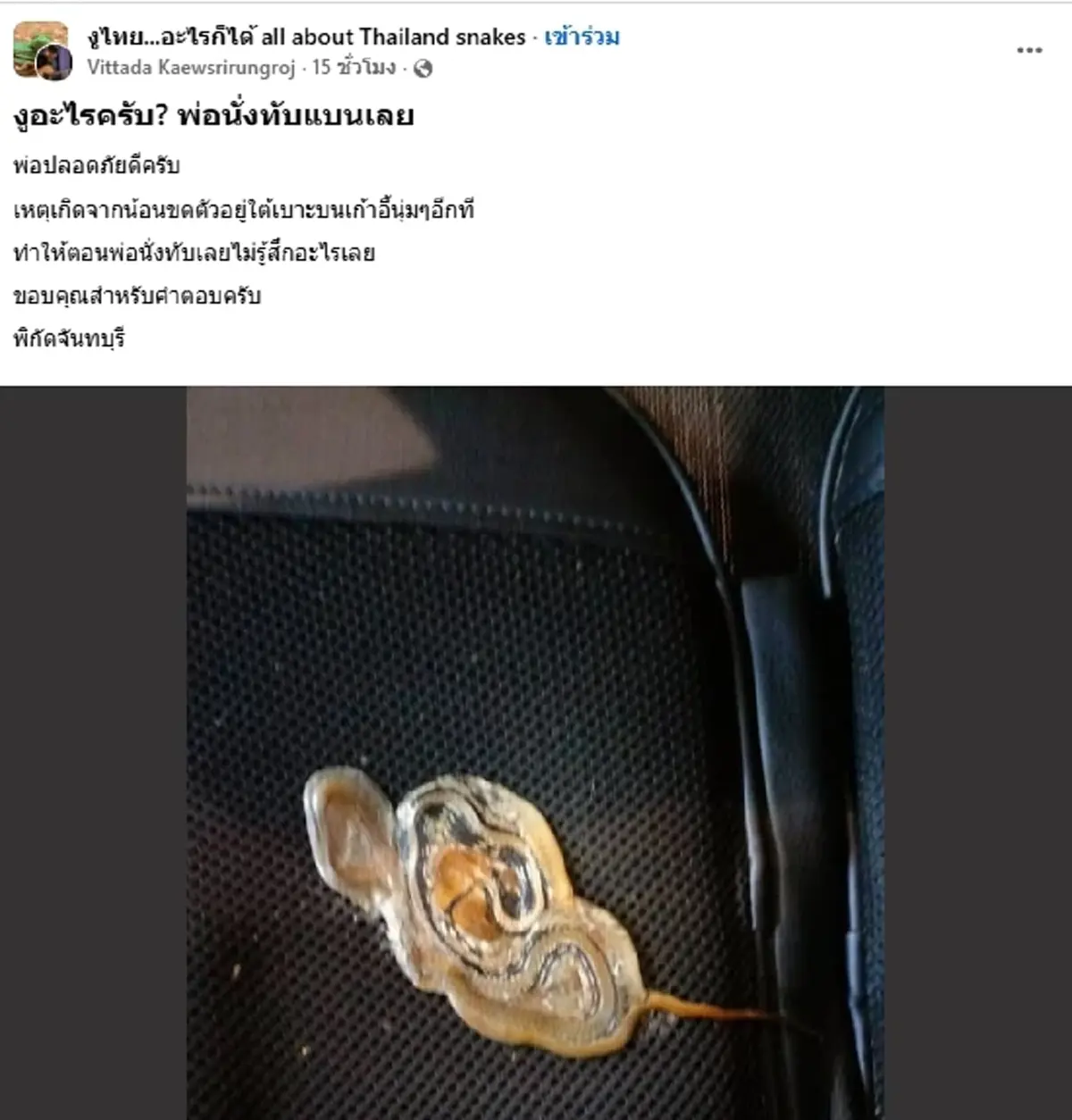 ใครจะคิด หนุ่มโพสต์ถามงูอะไร พ่อนั่งทับจนแบน จำสภาพเดิมไม่ได้