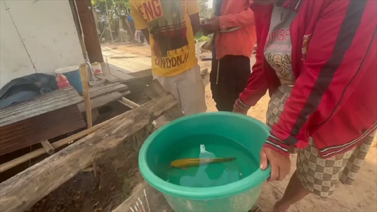 ฮือฮา! ชาวบ้านจับ "ปลาดุกสีทอง" ได้กลางลำห้วย เชื่อนำโชคใหญ่
