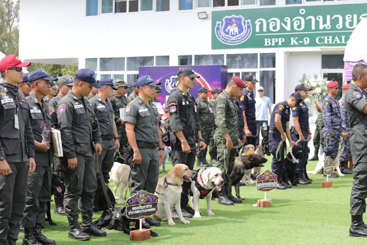 ไข่ตุ๋น K9 โชว์ฟอร์มเทพ! คว้ารองแชมป์ตรวจค้นยาเสพติด