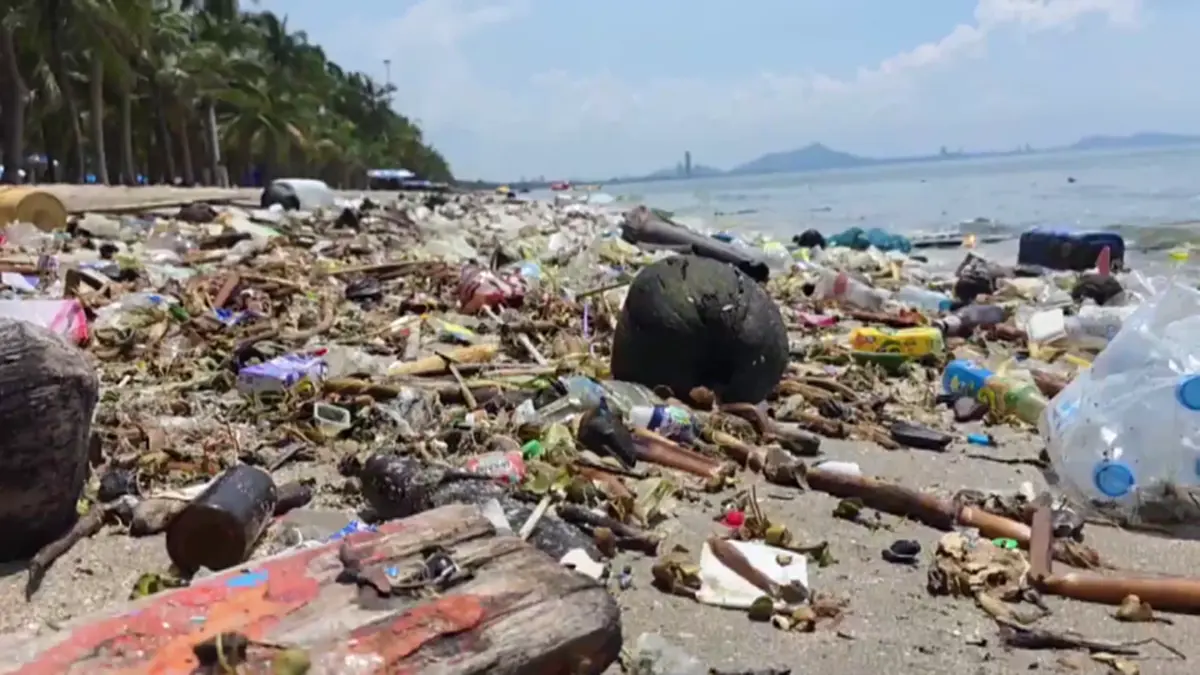 ขยะหลายตันเกลื่อนหาดบางแสน! เทศบาลไม่นิ่งนอนใจเร่งเก็บ