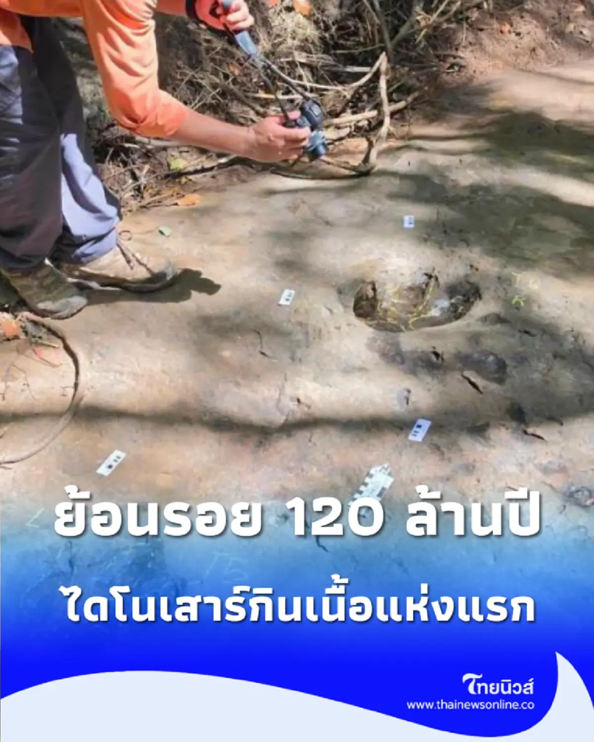 ย้อนรอย 120 ล้านปี บ้านผือพบรอยตีนไดโนเสาร์กินเนื้อแห่งแรกของอุดรธานี