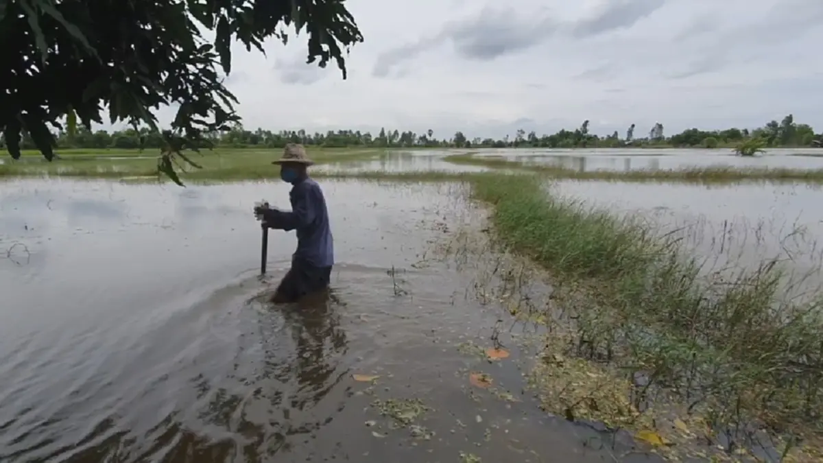 เตือนด่วน! ไข้ดินระบาดอีสานตอนล่าง 4 จังหวัด ป่วย 570 ราย ดับแล้ว 45