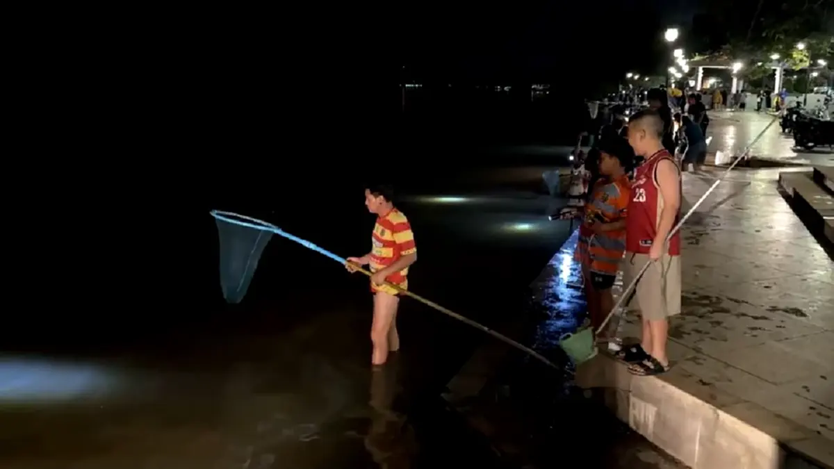 แปดริ้วคึกคัก! แห่ช้อนกุ้งขาวหลุดบ่อน้ำท่วมริมบางปะกง