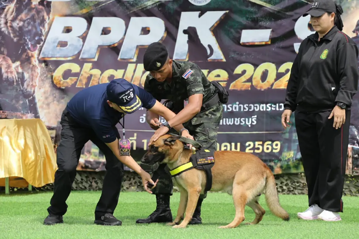 ไข่ตุ๋น K9 โชว์ฟอร์มเทพ! คว้ารองแชมป์ตรวจค้นยาเสพติด
