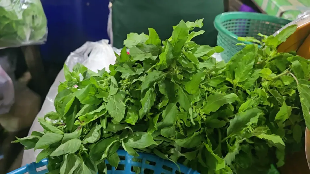 ตลาดอุทัยฯ เมินดราม่ากะเพรา! ยันกะเพราพื้นบ้านไม่ผิดกฎหมาย
