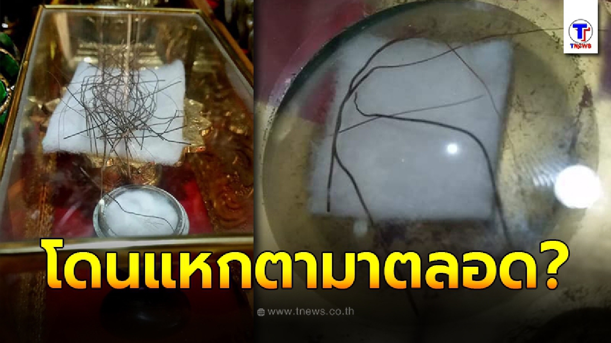 ตีแผ่ความจริง พระเกศาธาตุ ปาฎิหาร์ยเส้นผมของพระพุทธเจ้า เคลื่อนไหวได้เมื่อโดนน้ำ
