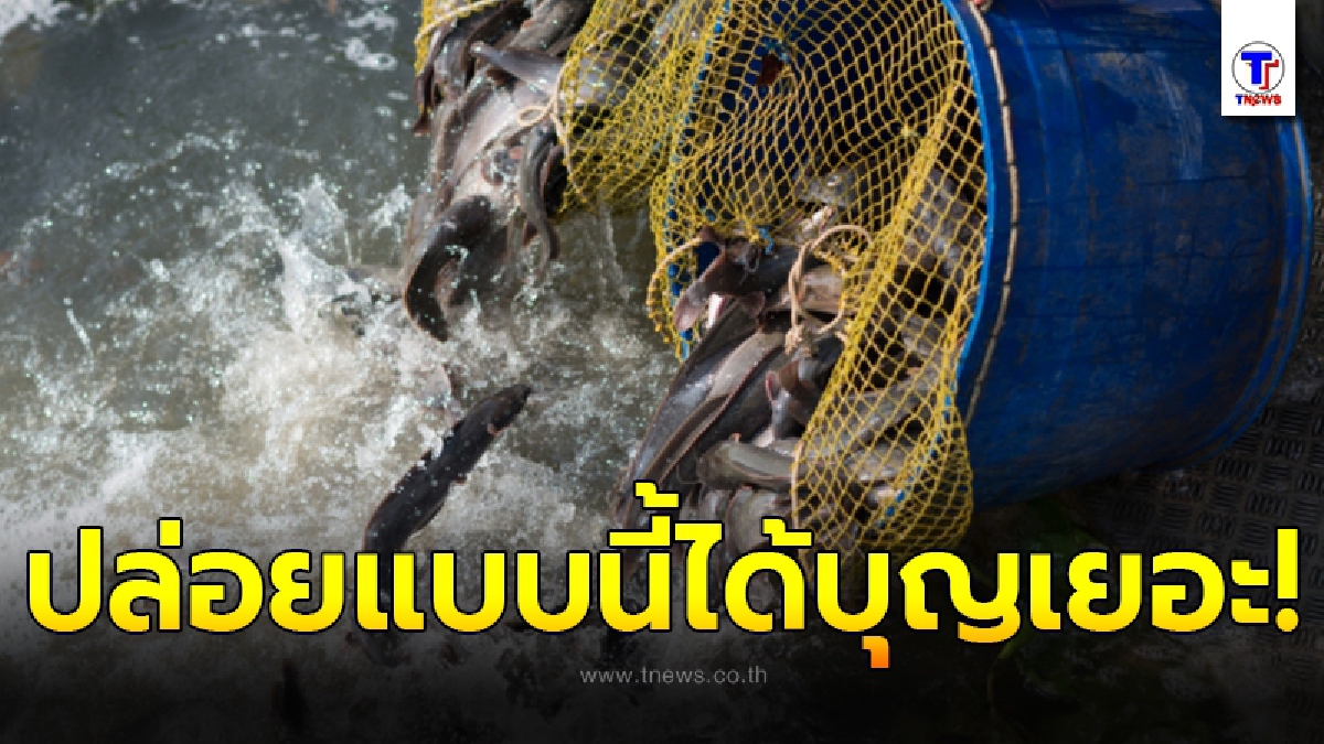 เผยวิธีปล่อยสัตว์ ชนิดต่างๆ ให้ได้บุญเต็มๆ