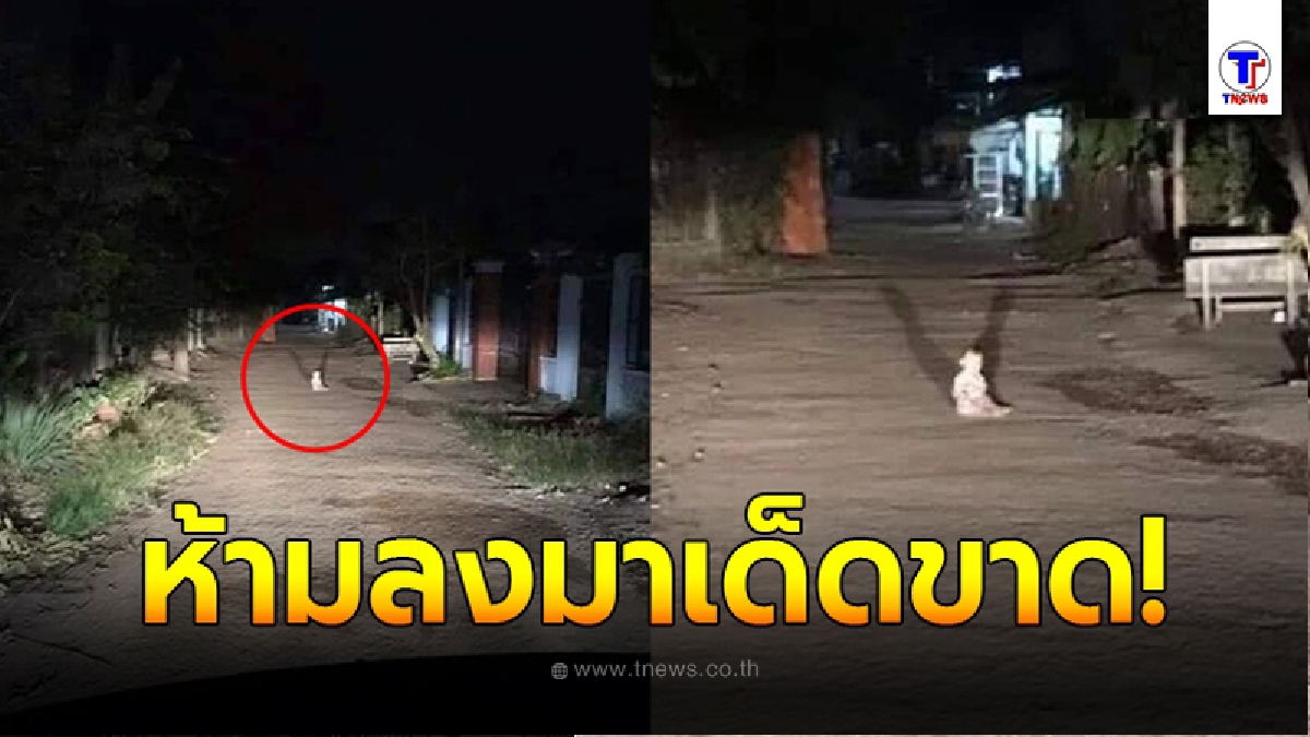 โซเชียลเตือนภัย เจอเด็กนั่งกลางถนนในที่เปลี่ยว ห้ามลงจากรถเด็ดขาด