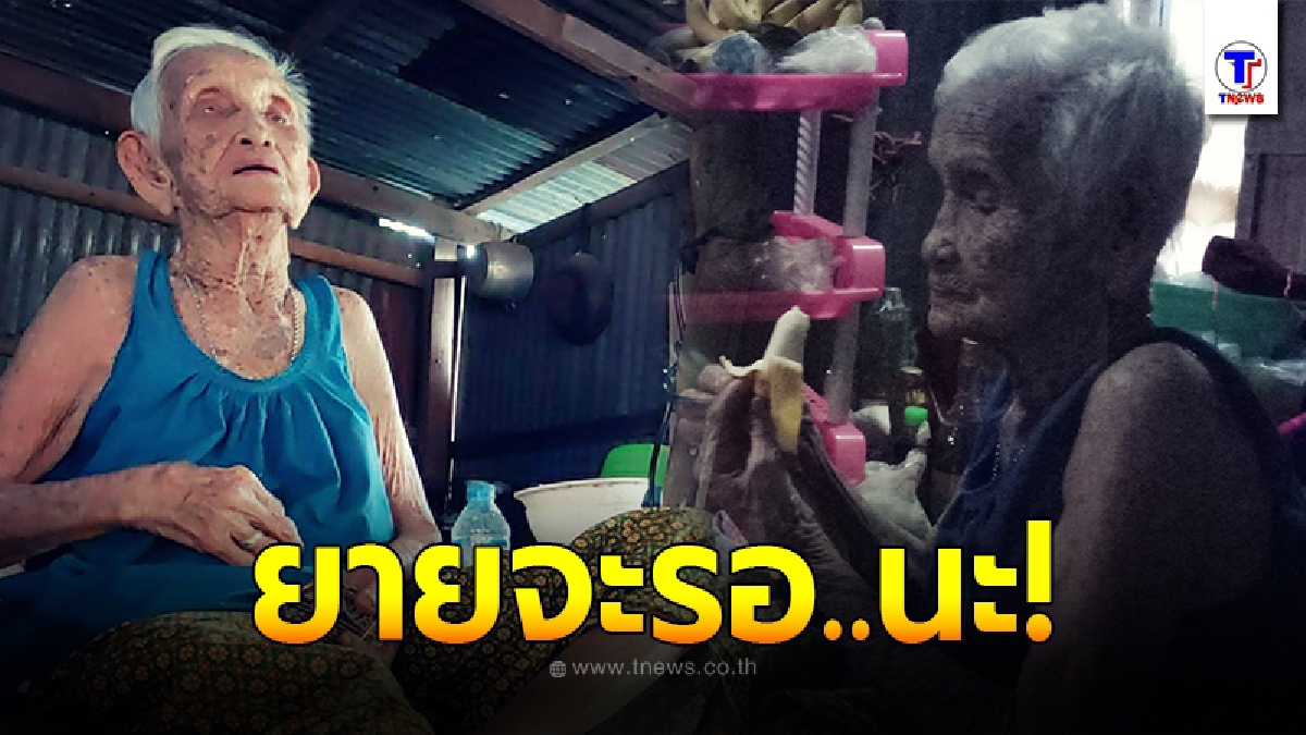 หญิงชราวัย 100 ปี ต้องดำเนินชีวิตเพียงตัวคนเดียว ในบ้านไม้เก่าๆ ทำหนุ่มเศร้าใจกับคำพูดเพียงไม่กี่ประโยค