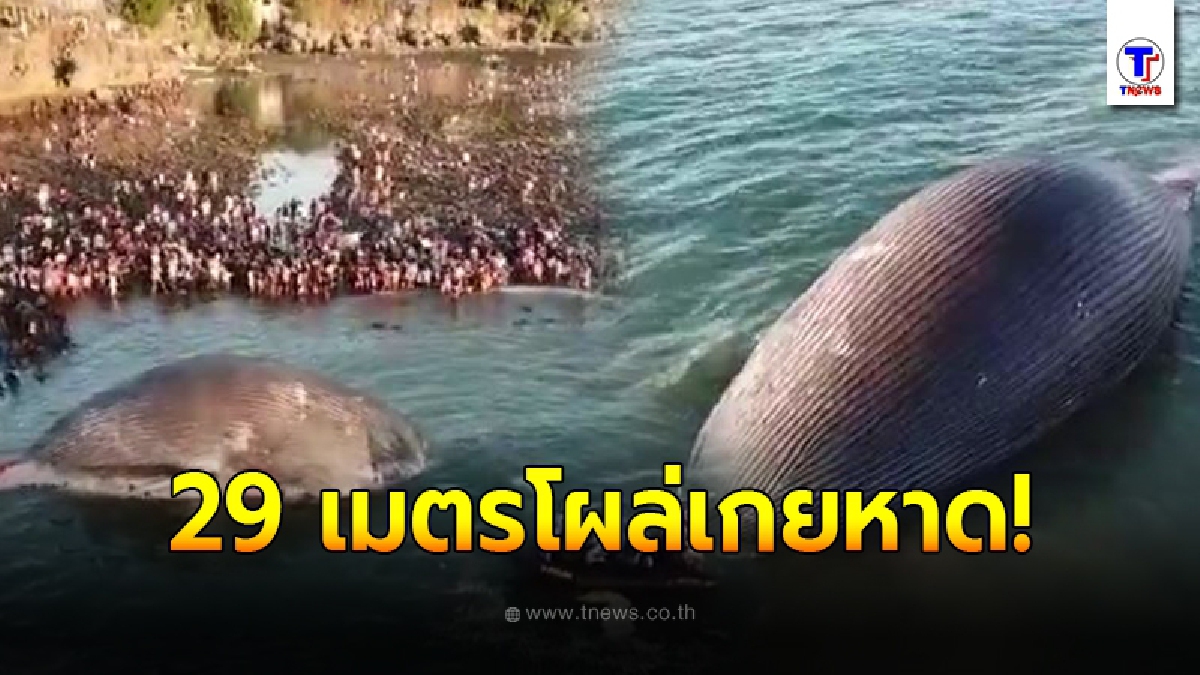 ชาวบ้านพบวัตถุมหึมาขนาด 29 เมตร เกยริมหาด ก่อนเข้าไปดู มันอายุกว่า 80 ปีเข้าไปแล้ว