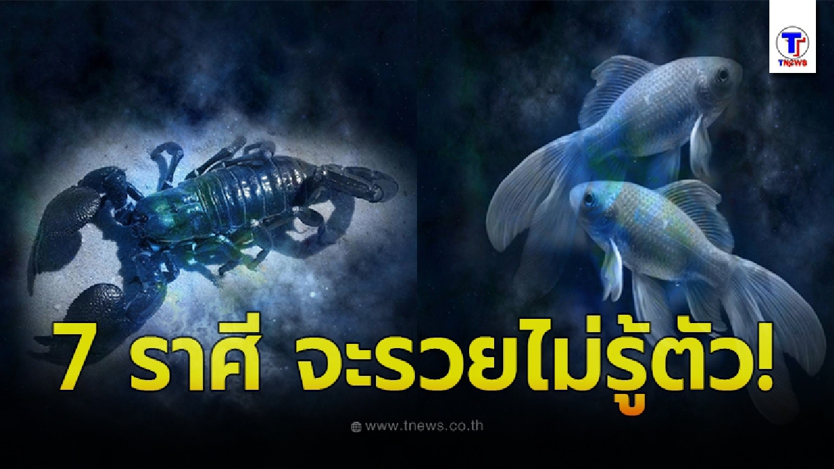 เผย 7 ราศี จะหมดเคราะห์ จะมีโชคมีชัยผู้ใหญ่หนุนนำ เฮง รวย ปัง ไม้รู้ตัว