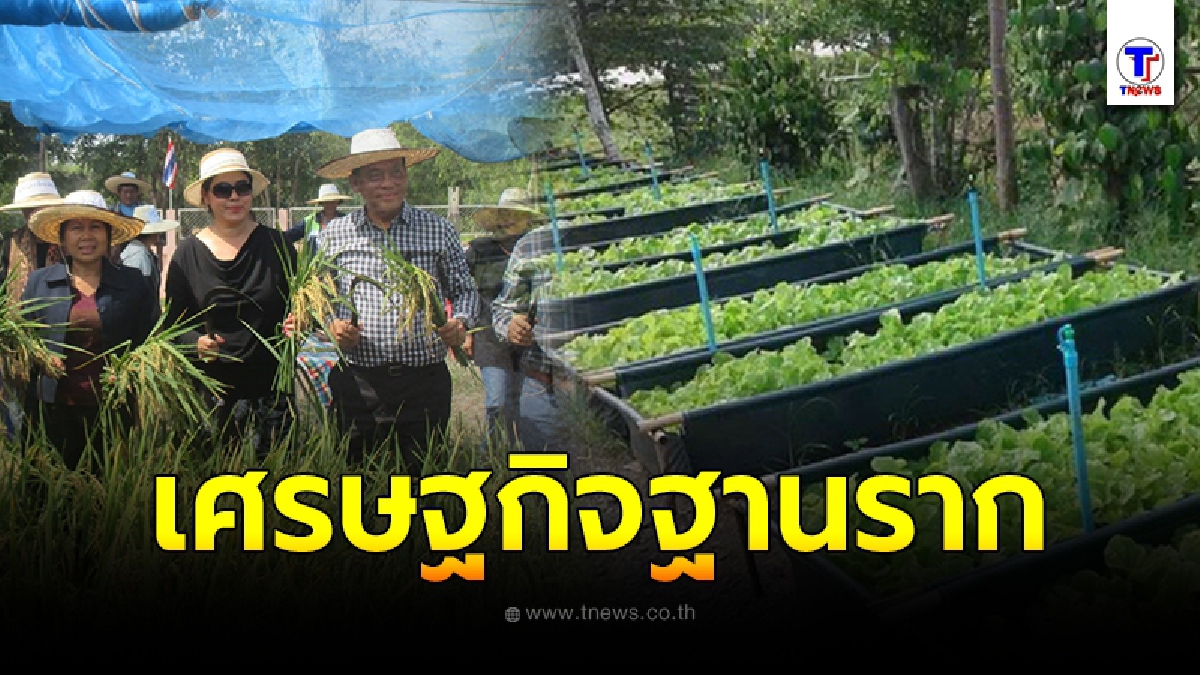 เดินหน้าลุย การสร้างความเข้มแข็งเศรษฐกิจฐานราก 1 ตำบล 1 กลุ่มเกษตรทฤษฎีใหม่