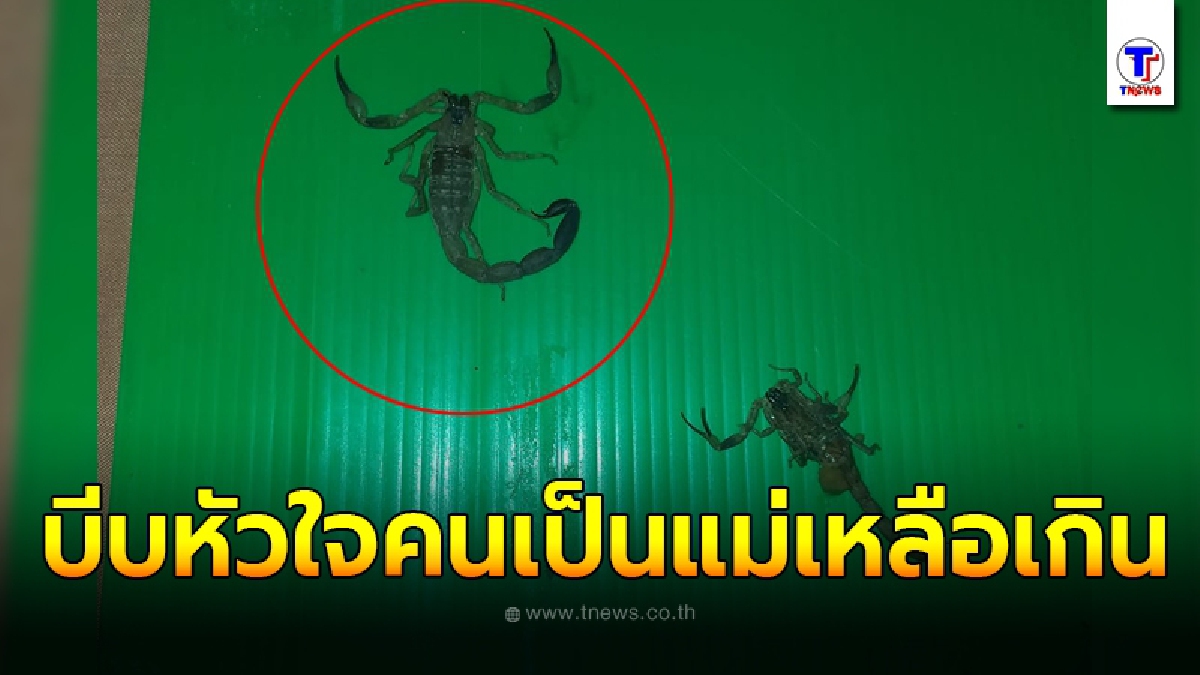 บีบหัวใจคนเป็นแม่ เล่นกับลูกน้อยในความมืดวันฝนตกไฟดับ จู่ๆลูกกรีดร้องด้วยความเจ็บปวด