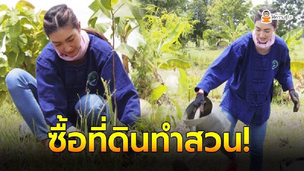 แพนเค้ก เขมนิจ ตามรอยวิถีพอเพียง ซื้อที่ดินกว่า 3 ไร่ ทำอาชีพเสริมเกษตรกร ปลูกผัก ทำสวน