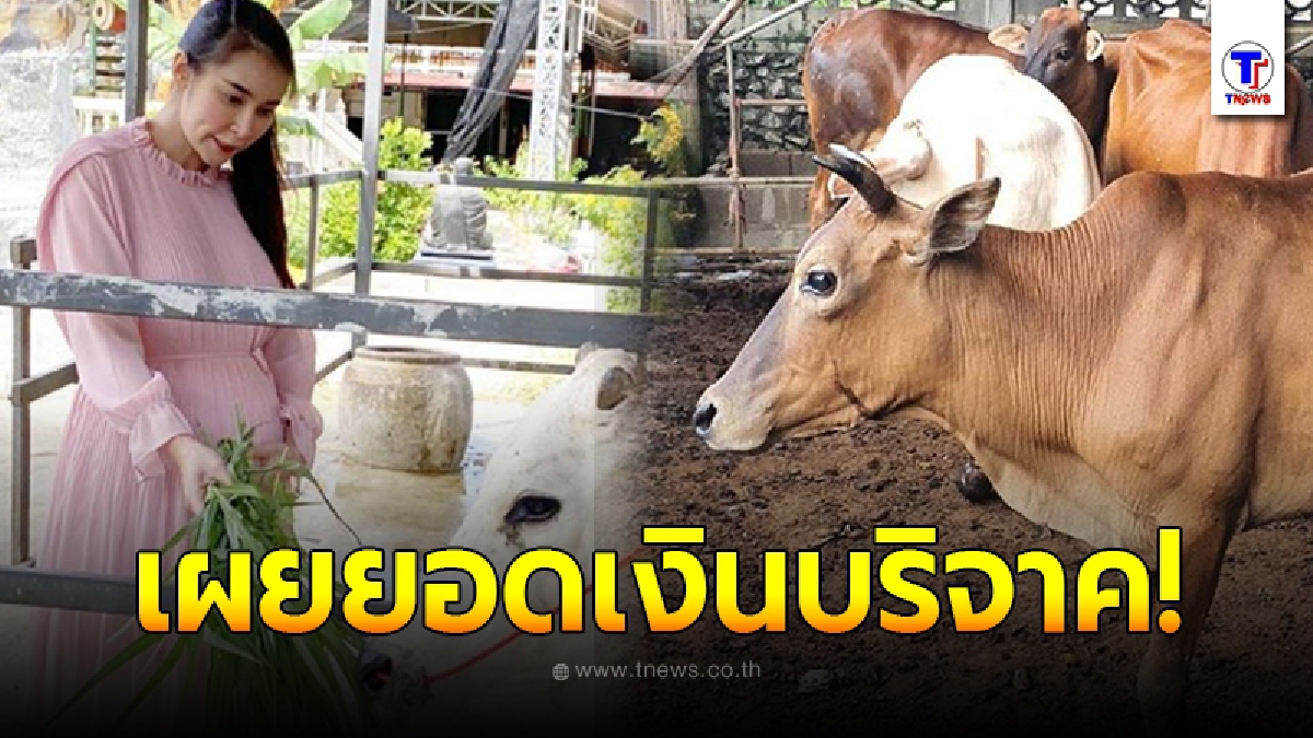 ดาราสายบุญ ใหม่ สุคนธวา เผยแม่วัวท้องแก่ 6 เดือนรอดแล้ว หลังได้ไถ่ชีวิต