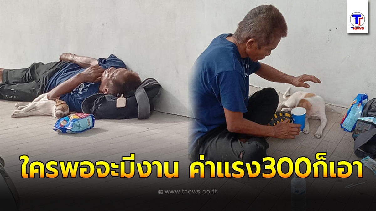 คุณลุงถูกหลอกไปทำงานแบกหาม สุดท้ายถูกโกงไม่ได้ค่าแรง กระเตงลูกหมาน้อยนอนข้างถนน
