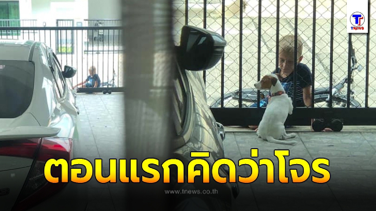สาวกังวลใจ ได้ยินเสียงก๊อกแก๊กที่ประตูรั้ว คิดว่าโจร พอเปิดไปดูทำเอายิ้มไม่หุบ